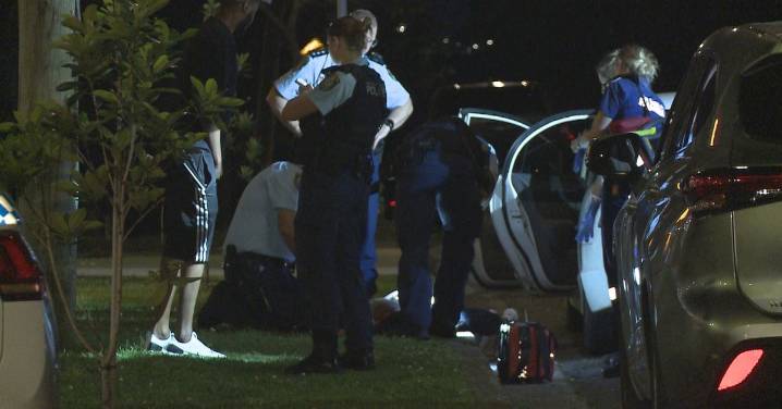 Greenacre stabbing: Stabbed teenager left with serious wounds to back and leg