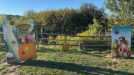 Top leaf peeping spots in Connecticut are gaining national attention