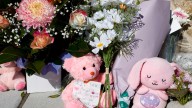 Mother believed to be behind wheel of car that killed baby daughter in freak Sydney car park accident