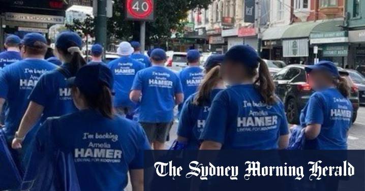 Brethren Liberal Party: Liberal campaigners feared Brethren influence in 2025 election
