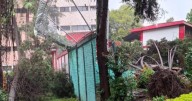 Árbol cae sobre la barda de una primaria en Lindavista Vallejo, GAM; suspenden clases