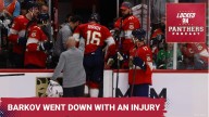 OH NO: Injury Bug Continues to hit the Cats as Aleksander Barkov went down with apparent leg injury