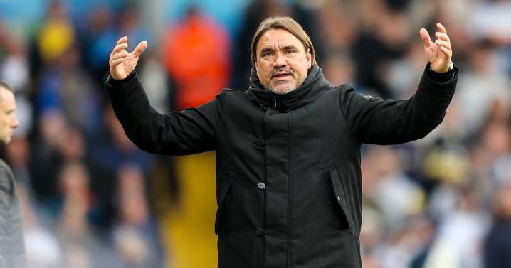 Why Daniel Farke 'will be kicking himself' after Bournemouth snatched draw at Leeds United