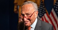 Democratic anger at their own party fuels 2026 primaries