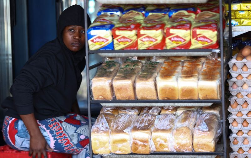 Sub-Saharan Africa's major economies hit by high finance costs, Moody's says