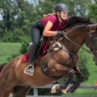 SWHS student takes the leap into learning about horse health through veterinary academy