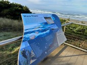 BPA will get power of wave energy harnessed at Oregon State University test site Free