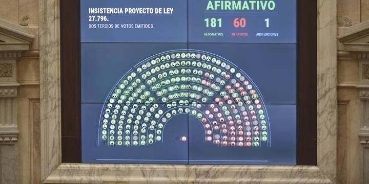 Contundente rechazo a los vetos de Milei: Diputados ratificó el financiamiento del Garrahan y las universidades