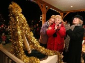 Owen Sound council remembers Ann Kelly