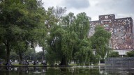 Facultad de Química de la UNAM Denuncia Amenazas Digitales a su Comunidad y Suspende Clases