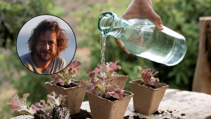 Toni Jardón, experto en plantas: “Solo necesitás 1 botella para que tus plantas se rieguen solas en verano”