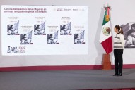 Traducen Cartilla de Derechos de las Mujeres a 35 lenguas originarias
