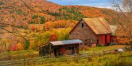 This Is the Ultimate Hack for Catching Peak Fall Foliage in 2025