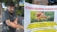 Vicious squirrel sends 2 San Rafael, California residents to ER after neighbors report series of frightening attacks