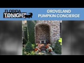 Groveland Pumpkin Concierge and more