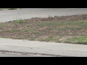 Weston Ranch crackdown: Stockton targets blight and abandoned cars