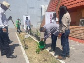 Secretaría de Desarrolló Rural de Tamaulipas entrega 300 plantas para reforestación de áreas verdes