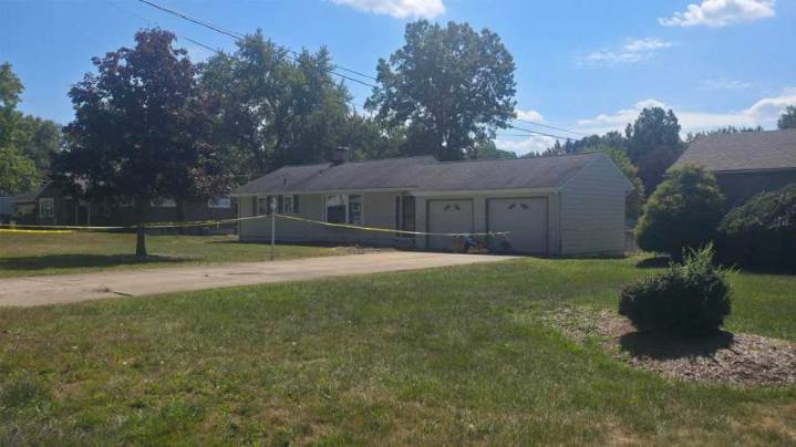 18 cats, dog found dead in Canfield home