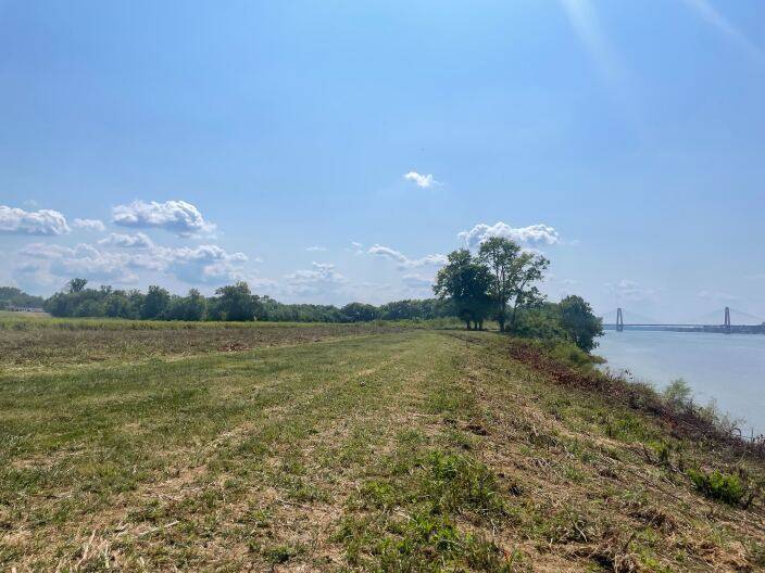 Plants, pollinators and people: The push to restore the Ohio River Basin
