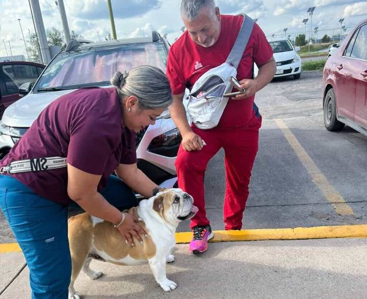 Policías Municipales ayudan a reunir a una perrita de apoyo emocional con su familia