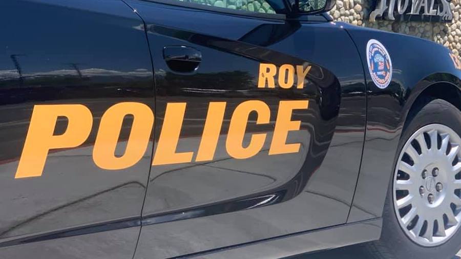 Police looking for driver they say fled scene after hitting woman in Roy