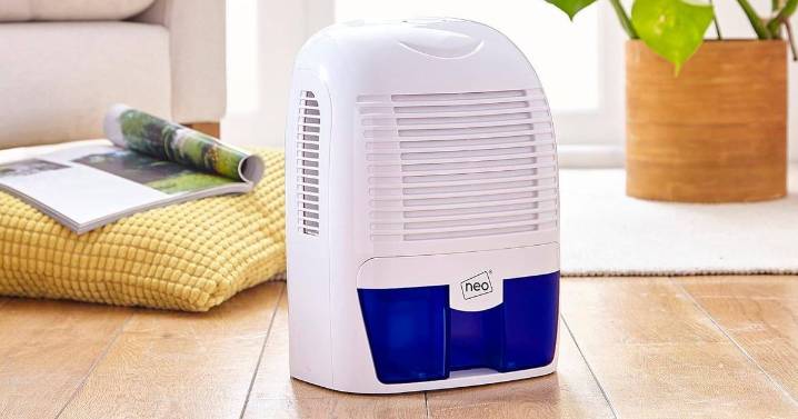 'Brilliant' dehumidifier prevents condensation and mould during damp autumn