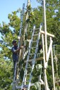 The world’s tallest sunflower blooms in an Indiana backyard as a tribute to Ukraine