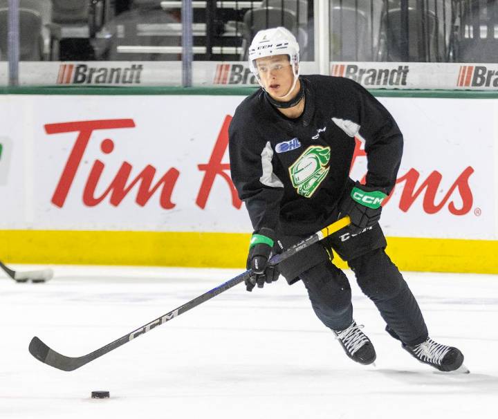Ben Wilmott lauds London Knights chance, reunites with Henry Brzustewicz
