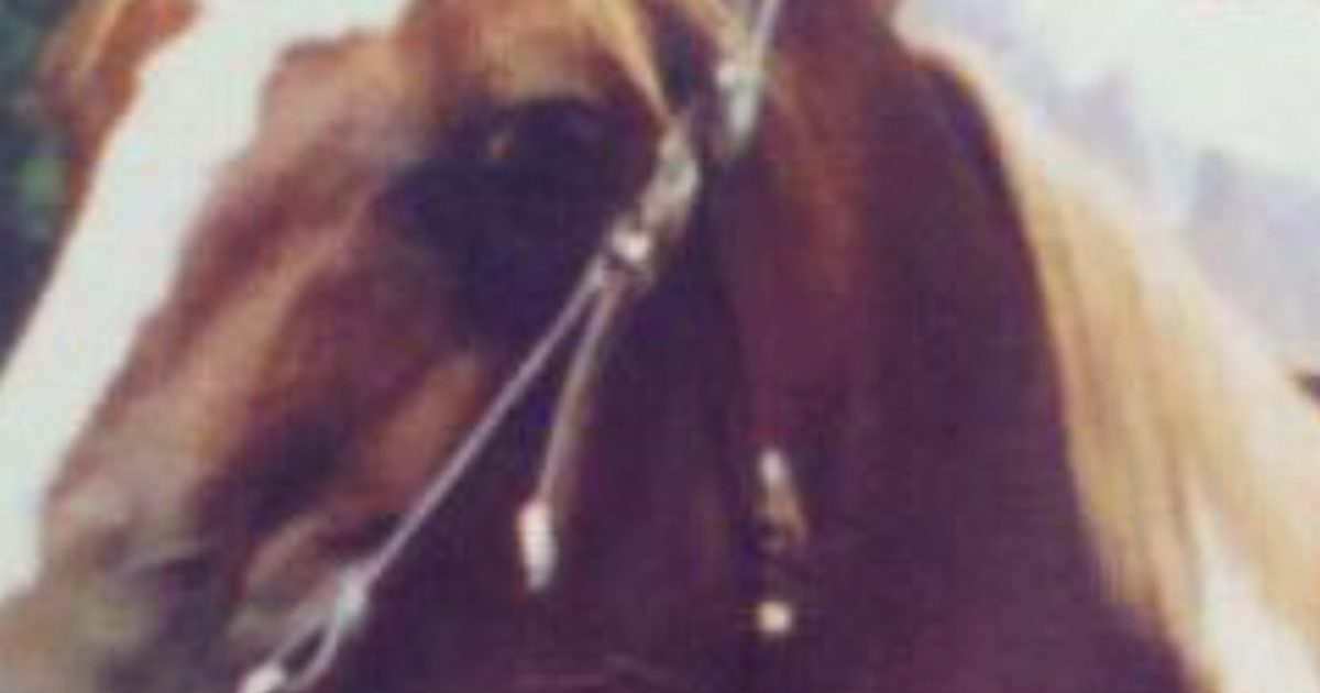 Coffee County horse tests positive for rabies after death