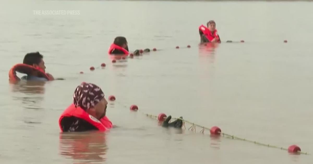 Endangered pink river dolphins in Amazon face rising threat of mercury contamination