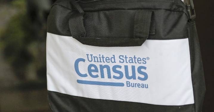 The Census Bureau is now headed by a Trump official in an acting position