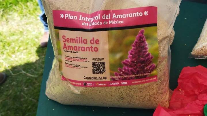 Edomex impulsa cultivo de amaranto con concurso y plan integral