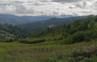 Comienzan los ensayos de gestión forestal y pastoral en terrenos mineros para mitigar el cambio climático