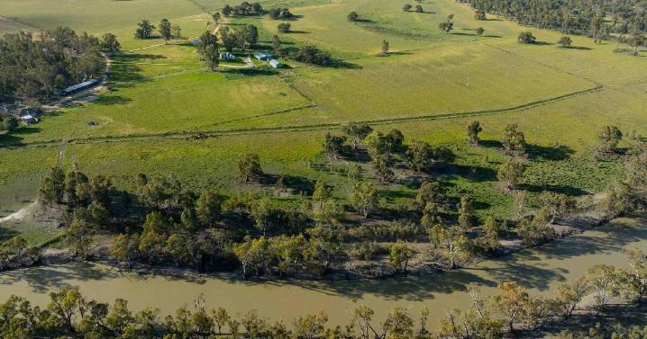 Productive 5036 acre property for sale in the southern Riverina