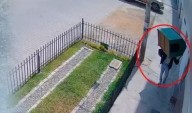 Ni los animales se salvan de la criminalidad: roban casa de perrito policía en Chiclayo