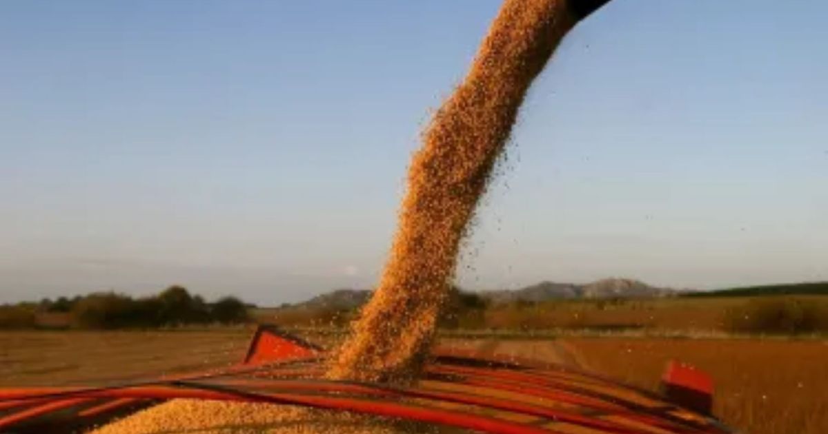 El titular del ARCA destacó la quita temporal de retenciones y dijo que «el mayor beneficiario» fue el campo