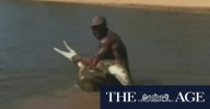 Authorities investigate video of influencer grabbing a croc
