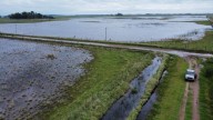 La Provincia declaró la emergencia agropecuaria en diez municipios bonaerenses