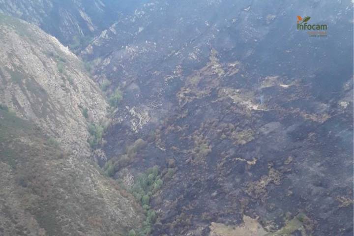 Controlado el incendio forestal de Peñalba de la Sierra