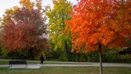 Fall is coming. What the weather will be in Michigan in 2025