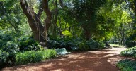 Un oasis verde en la ciudad: visitamos el Jardín Botánico
