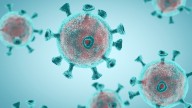 What Are Whole-Virus Vaccines & Why Are They Controversial?