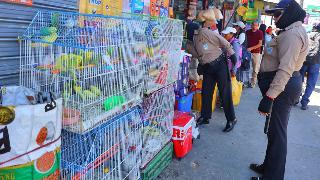 Municipalidad de Bustamante interviene venta ilegal de animales en la plataforma Avelino Cáceres