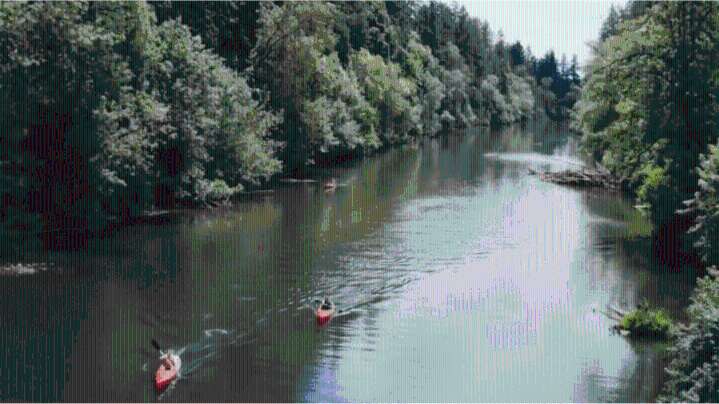 Paddleboarders find body on Tualatin River