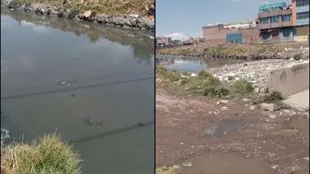 Puno: reportan contaminación del río Torococha que desemboca en el lago Titicaca [VIDEO]