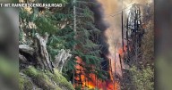 Historic Mt. Rainier railroad bridge demolished after suspected arson