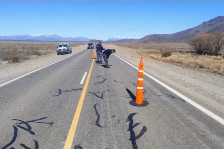 Trágica muerte en Neuquén: atropellaron a una mujer que hacía dedo en la Ruta 237