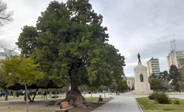 Detenidos y heridos: una pelea en la Plaza Rivadavia involucró a más de 10 jóvenes