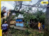 Typhoon Bualoi: Vietnam suspends 4 airports, over 2 lakhs people moved to safety