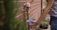 Anyone with outdoor tap in garden told to take urgent action now